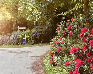 Guest house 135002 - Bed and Breakfast Noord-Holland zuid - Art+bed and breakfast