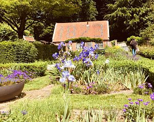 Guest house 135002 - Bed and Breakfast Noord-Holland zuid - Art+bed and breakfast