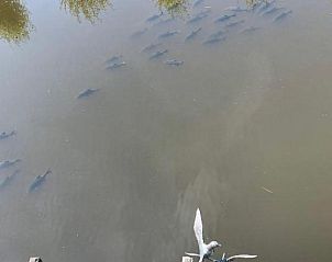 Guest house 135002 - Bed and Breakfast Noord-Holland zuid - Art+bed and breakfast