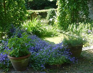 Guest house 136302 - Bed and Breakfast Zeeuws-Vlaanderen - B&B Veerhoeve