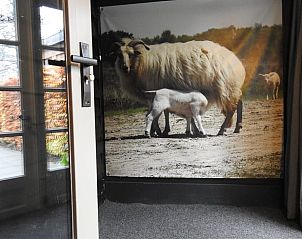 Guest house 170607 - Bed and Breakfast Midden Drenthe - Vakantiehuis in Beilen