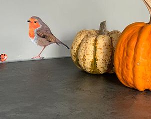 Guest house 170607 - Bed and Breakfast Midden Drenthe - Vakantiehuis in Beilen