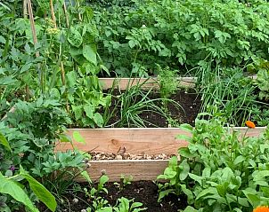 Guest house 170607 - Bed and Breakfast Midden Drenthe - Vakantiehuis in Beilen