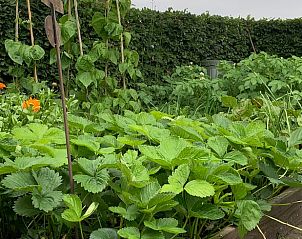 Guest house 170607 - Bed and Breakfast Midden Drenthe - Vakantiehuis in Beilen