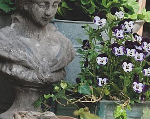 Guest house 193901 - Bed and Breakfast Zuid Limburg - Breusjterhofke