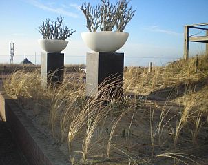 Guest house 244501 - Bed and Breakfast Noordzeekust - B&B Zeespiegel