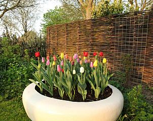 Verblijf 266201 - Bed and breakfast Zuid-Beveland - B & B Boezeneren