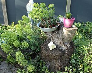 Verblijf 266201 - Bed and breakfast Zuid-Beveland - B & B Boezeneren