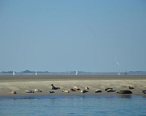 Verblijf 266201 - Bed and breakfast Zuid-Beveland - B & B Boezeneren