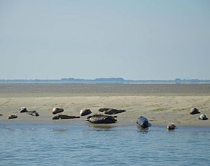 Verblijf 266201 - Bed and breakfast Zuid-Beveland - B & B Boezeneren