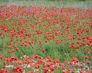 Verblijf 266201 - Bed and breakfast Zuid-Beveland - B & B Boezeneren