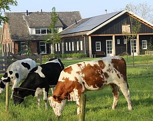 Verblijf 291312 • Bed and breakfast Achterhoek • Huisje in Westendorp 