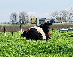 Verblijf 316305 - Bed and breakfast Zeeuws-Vlaanderen - Slapen bij de Zeeuwse Lala