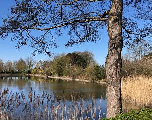 Verblijf 316305 - Bed and breakfast Zeeuws-Vlaanderen - Slapen bij de Zeeuwse Lala