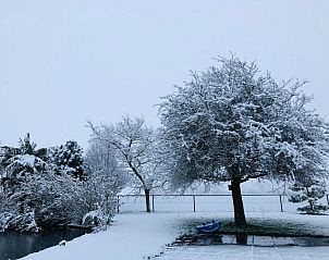 Verblijf 316305 - Bed and breakfast Zeeuws-Vlaanderen - Slapen bij de Zeeuwse Lala