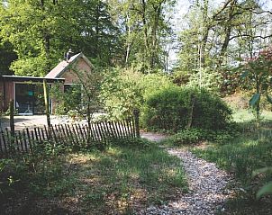 Guest house 321122 • Bed and Breakfast Veluwe • Vakantiehuisje in Hoenderloo 