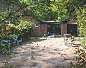 Buitenterras van Vakantiehuisje in Hoenderloo, Veluwe, met rustgevende omgeving en comfortabele stoelen.