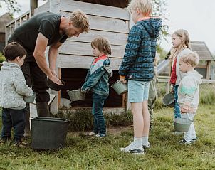 Kinderen helpen bij dierenverzorging in Huisje in Oosterwolde, bed and breakfast op de Veluwe.
