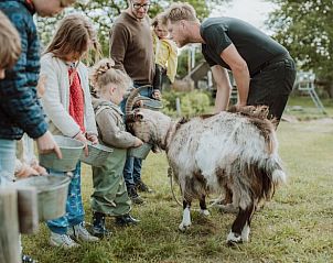 Kinderen voeren geit bij Huisje in Oosterwolde, Veluwe, Gelderland.