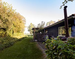 Buiten lezen op terras van Vakantiehuisje in Heerde, Veluwe, met natuur rondom in Gelderland.