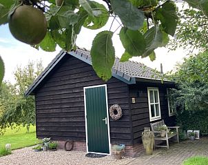 Gezellige bed and breakfast Vakantiehuisje in Beemte Broekland met landelijke uitstraling in de Veluwe, Gelderland.