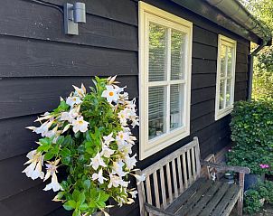 Sfeervol houten bankje bij Vakantiehuisje in Beemte Broekland, omgeven door bloeiende planten op de Veluwe.