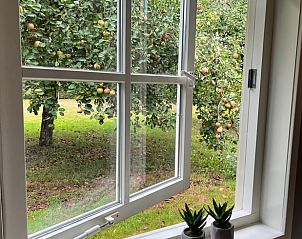 Uitzicht op fruitbomen vanuit het raam van Vakantiehuisje in Beemte Broekland, midden in de natuur van de Veluwe.