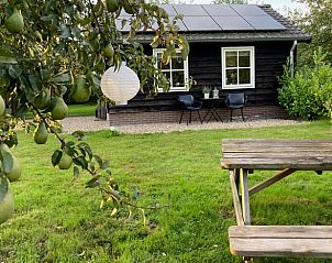 Rustieke picknicktafel en groene omgeving bij Vakantiehuisje in Beemte Broekland, Veluwe, Gelderland.