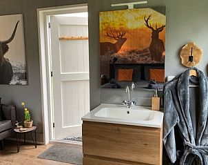 Moderne badkamer in Vakantiehuisje in Beemte Broekland met houten accenten, Veluwe, Gelderland.