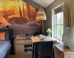 Sfeervolle hoek in Vakantiehuisje in Beemte Broekland met natuurdecor, gelegen op de Veluwe.