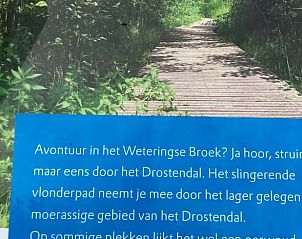 Detail van een natuurwandeling bij Vakantiehuisje in Beemte Broekland, gelegen in de Veluwe, Gelderland.