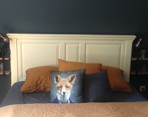 Stijlvolle slaapkamer in Vakantiehuis in Oene, Veluwe, met comfortabele bedden en decoratieve kussens.