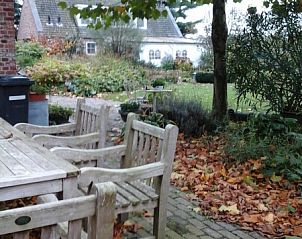 Herfstige omgeving bij B&B bij Kaat, Liessel, De Peel, met een charmant terras en natuurlijke pracht.