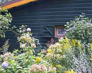 Het optrekje in Lage Mierde, Kempen, Noord Brabant biedt een rustieke bed and breakfast ervaring te midden van weelderige tuinen en natuur.