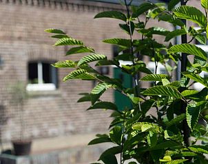 Verblijf 443802 - Bed and breakfast Noord Limburg - B&B 't Inj