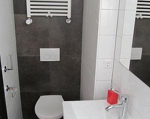 Stijlvolle badkamer met toilet in B&B Het Bakhuis, Loenen, Veluwe.