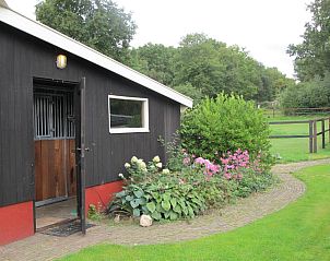Pittoreske schuur bij B&B Het Bakhuis in Loenen, Veluwe omgeven door groen.