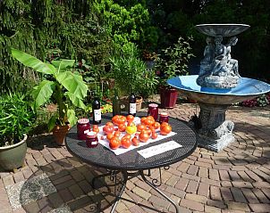 Guest house 493805 - Bed and Breakfast Midden Limburg - B&B De Kleine Wijngaard