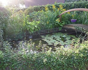 Guest house 493805 - Bed and Breakfast Midden Limburg - B&B De Kleine Wijngaard