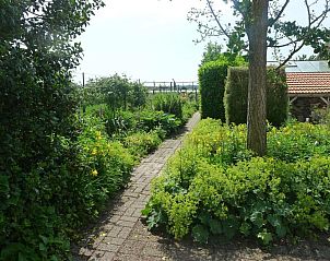 Guest house 493805 - Bed and Breakfast Midden Limburg - B&B De Kleine Wijngaard