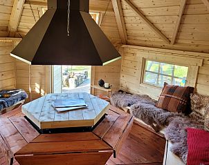Gezellige binnenruimte van Vakantiehuis in Overdinkel, Twente, met centrale haard en zitplaatsen.