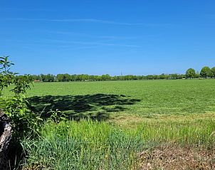 Prachtige groene omgeving rondom Vakantiehuis in Overdinkel, Twente, met weidse uitzichten.