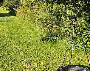 Groen grasveld rondom Vakantiehuis in Overdinkel, Twente, ideaal voor ontspanning in de natuur.