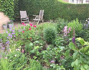Bloemrijke tuin bij Oddingsplace in Hardenberg, Vechtstreek, Overijssel. Perfecte plek voor ontspanning in de bed and breakfast.