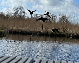 Watervogels in de omgeving van Vakantiehuisje in Kalenberg, een paradijs voor vogelaars.