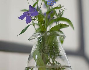 Verse bloemen in Vakantiehuis in Oudewater, Utrecht. Natuurlijke decoratie in een bed and breakfast.