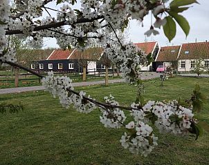 Verblijf 603105 • Bed and breakfast Schouwen-Duiveland • Huisje in Noordgouwe 