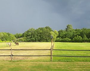 Uitzicht op de weilanden bij Huisje in Noordgouwe, bed and breakfast in Noordgouwe, Zeeland.