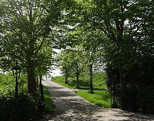 Lommerrijke oprijlaan naar Huisje in Arnemuiden, vakantiehuis in Zeeland.