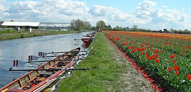 Zuid-Holland